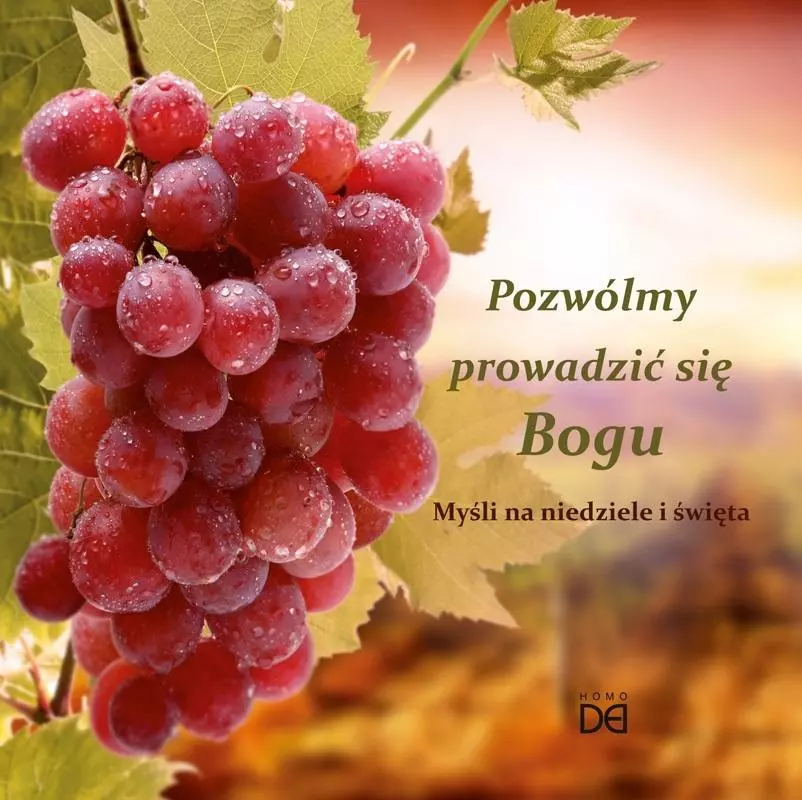 Pozwólmy prowadzić się Bogu - Książki