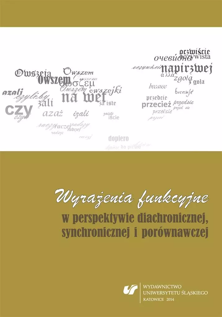 Wyrażenia funkcyjne w perspektywie diachronicznej - Książki