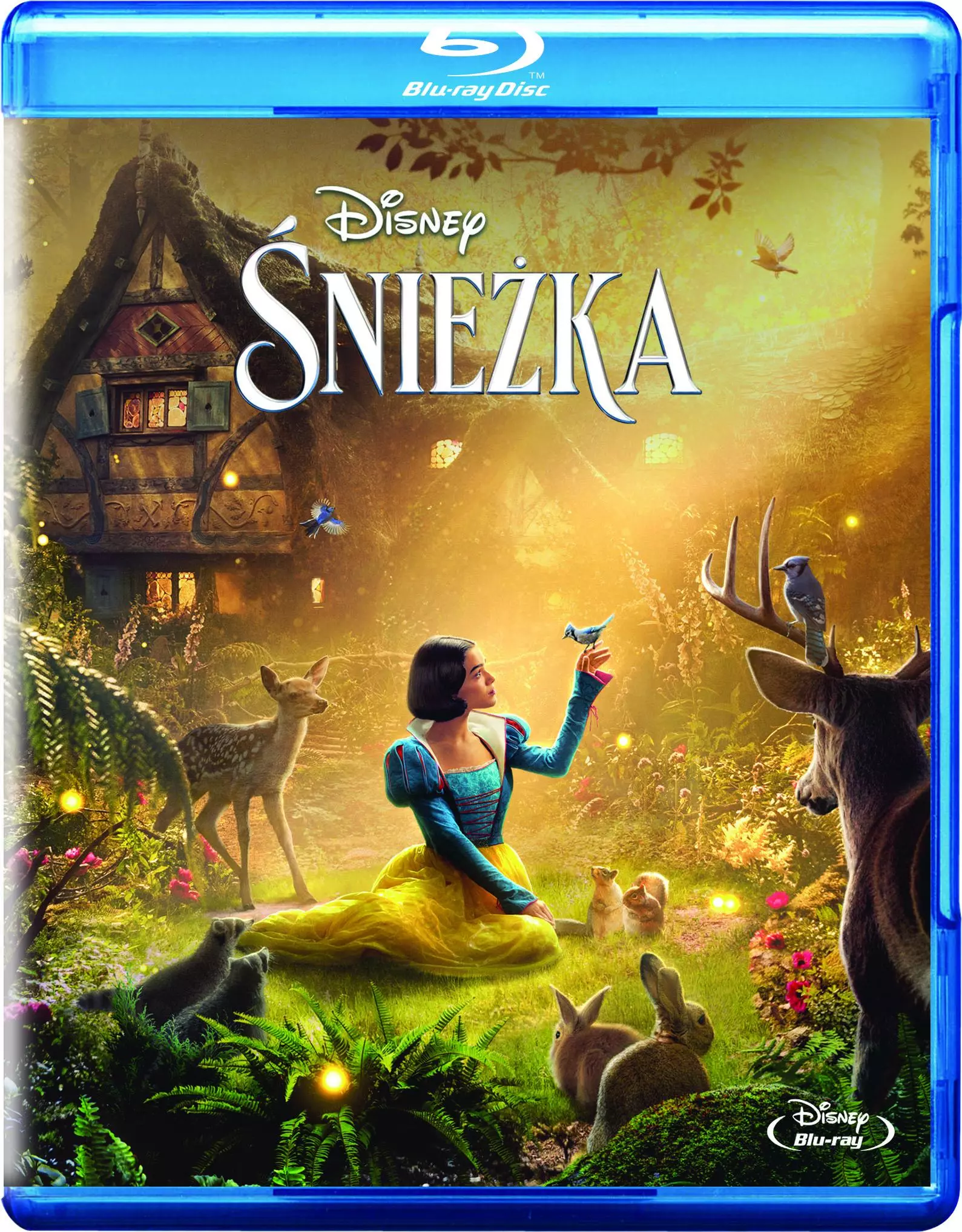 Śnieżka, Blu-Ray - Filmy