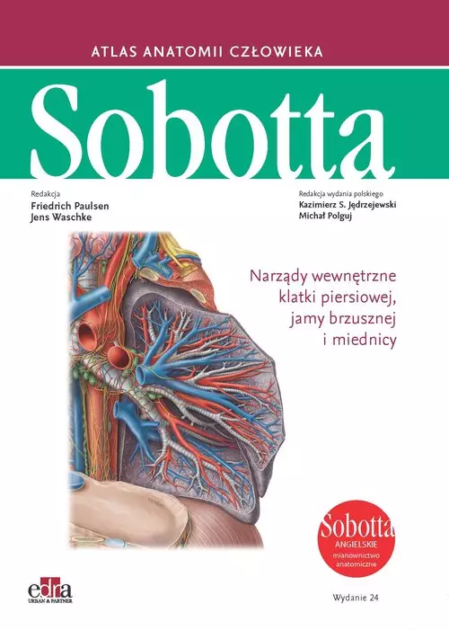 Atlas anatomii człowieka Sobotta. Angielskie mianownictwo. Tom 2. - Książki