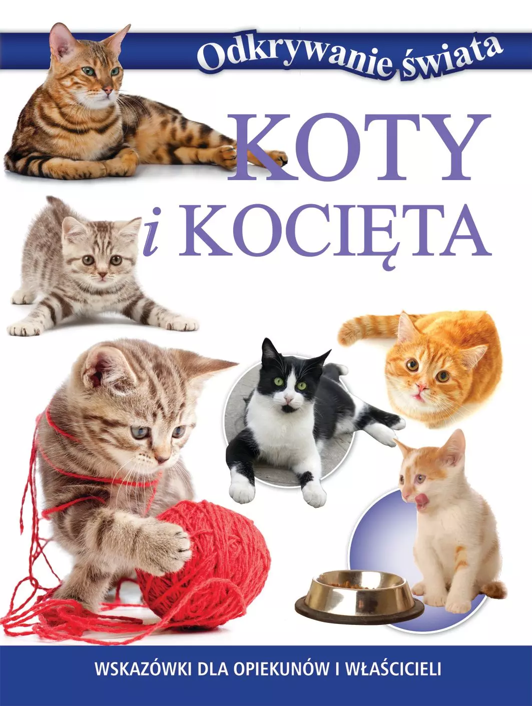 Odkrywanie świata. Koty i kocięta - Książki