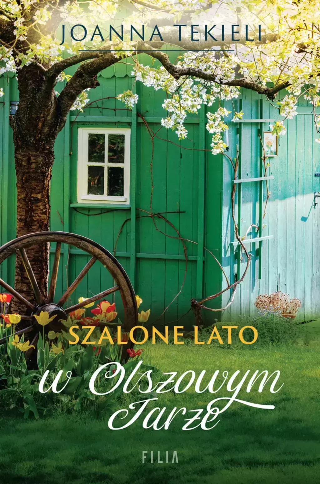 Szalone lato w Olszowym Jarze - Książki