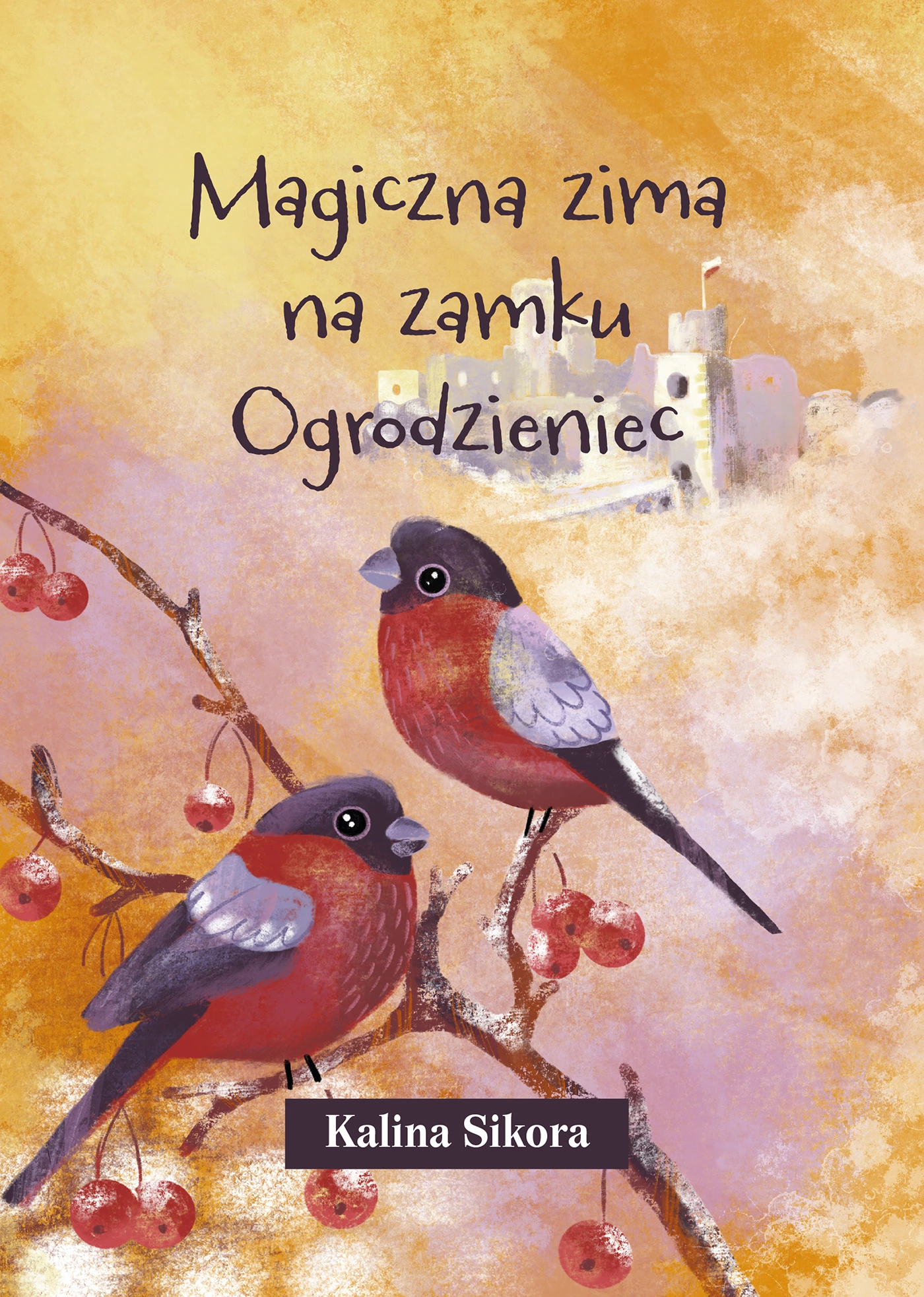 Magiczna zima na zamku Ogrodzieniec - Książki