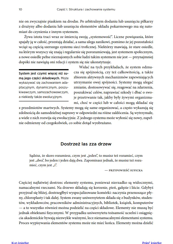 Myślenie systemowe. Wprowadzenie - Książki