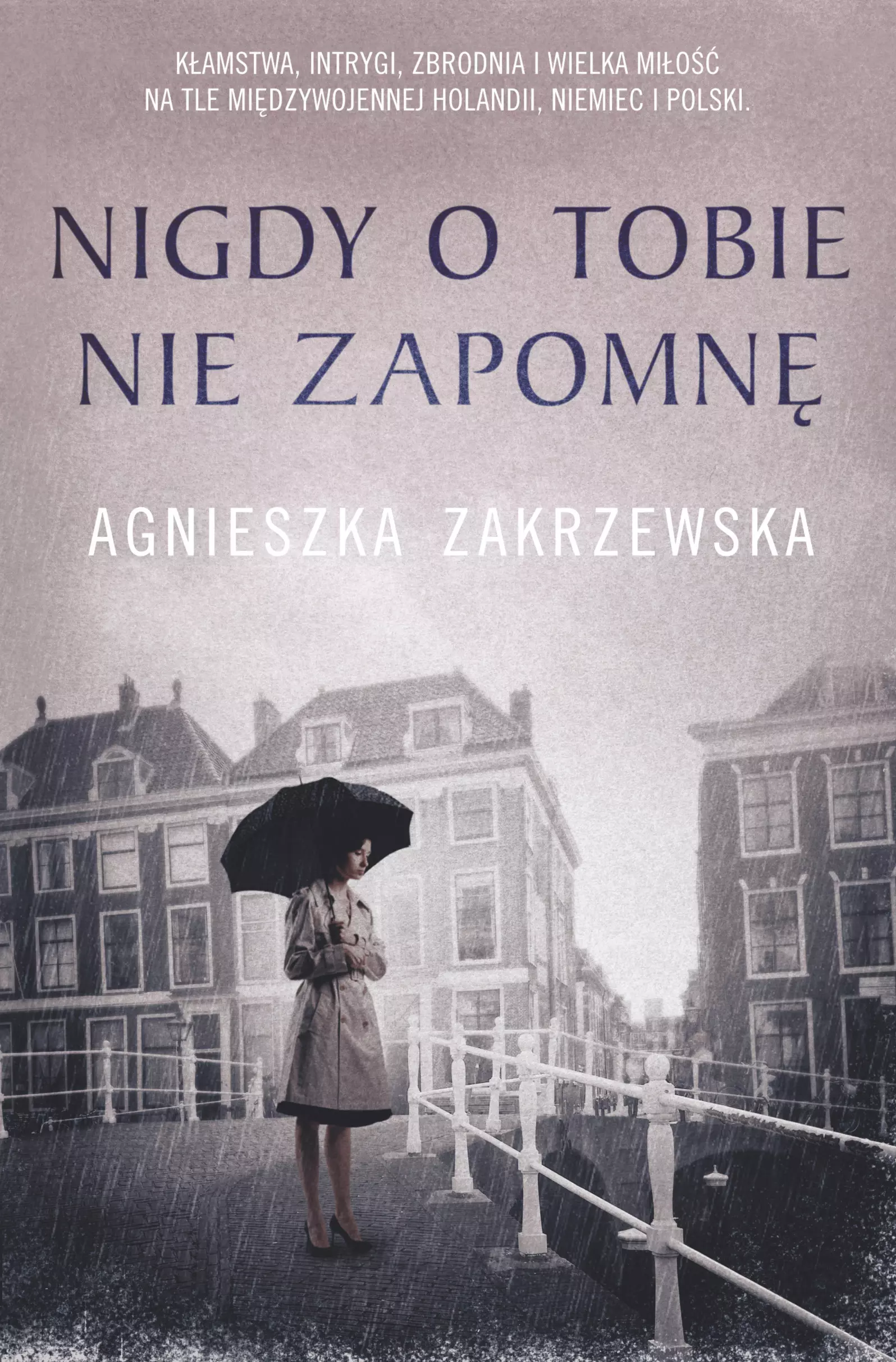 Nigdy o tobie nie zapomnę - Książki