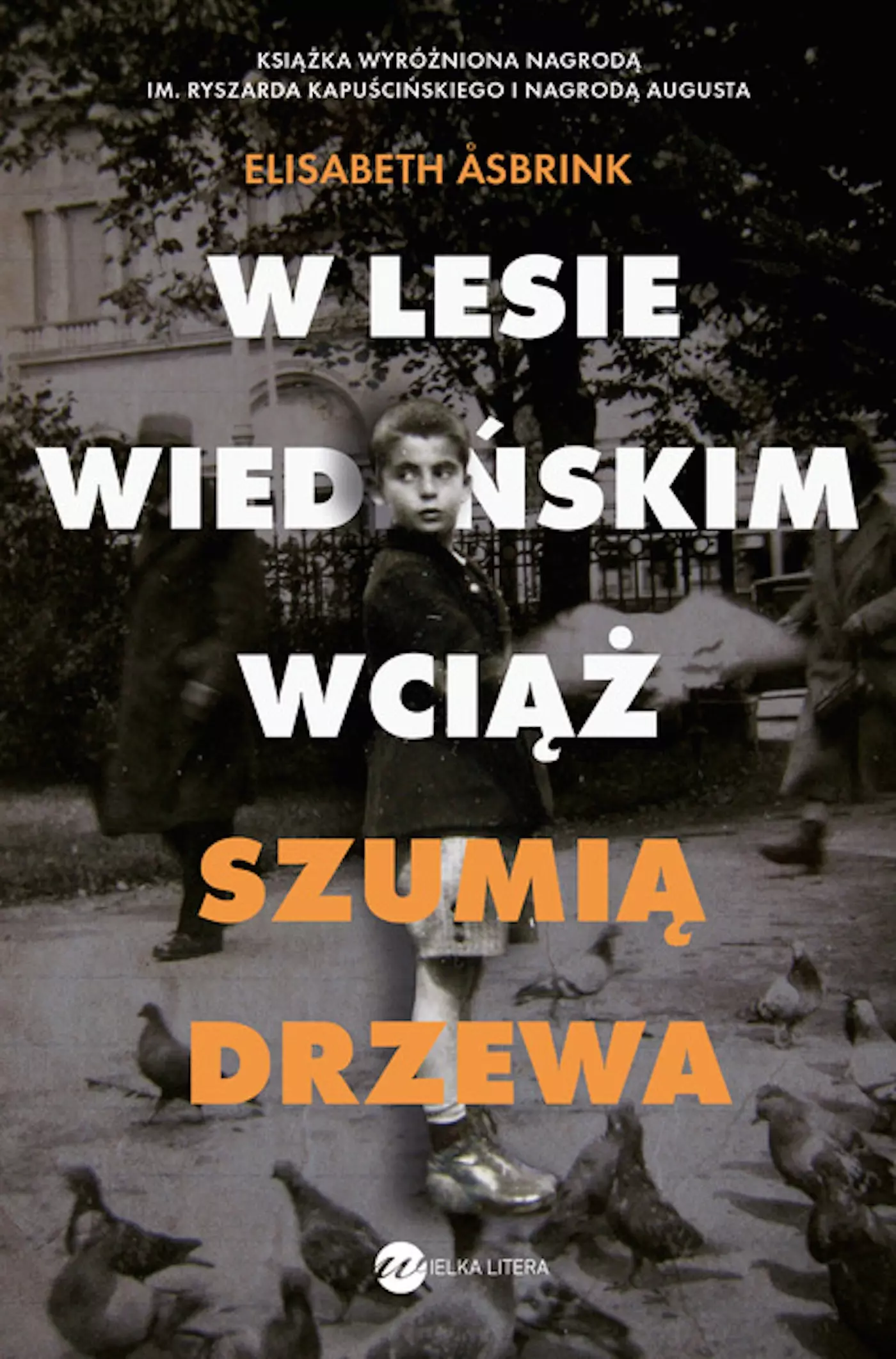 W Lesie Wiedeńskim wciąż szumią  drzewa - Książki