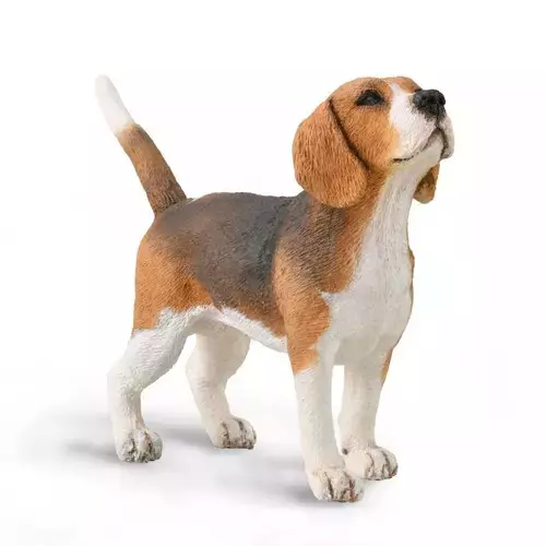 Pies Beagle - Zabawki