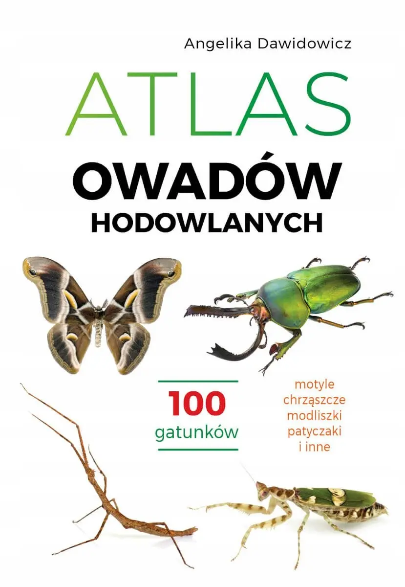 Atlas owadów hodowlanych. 100 gatunków - Książki