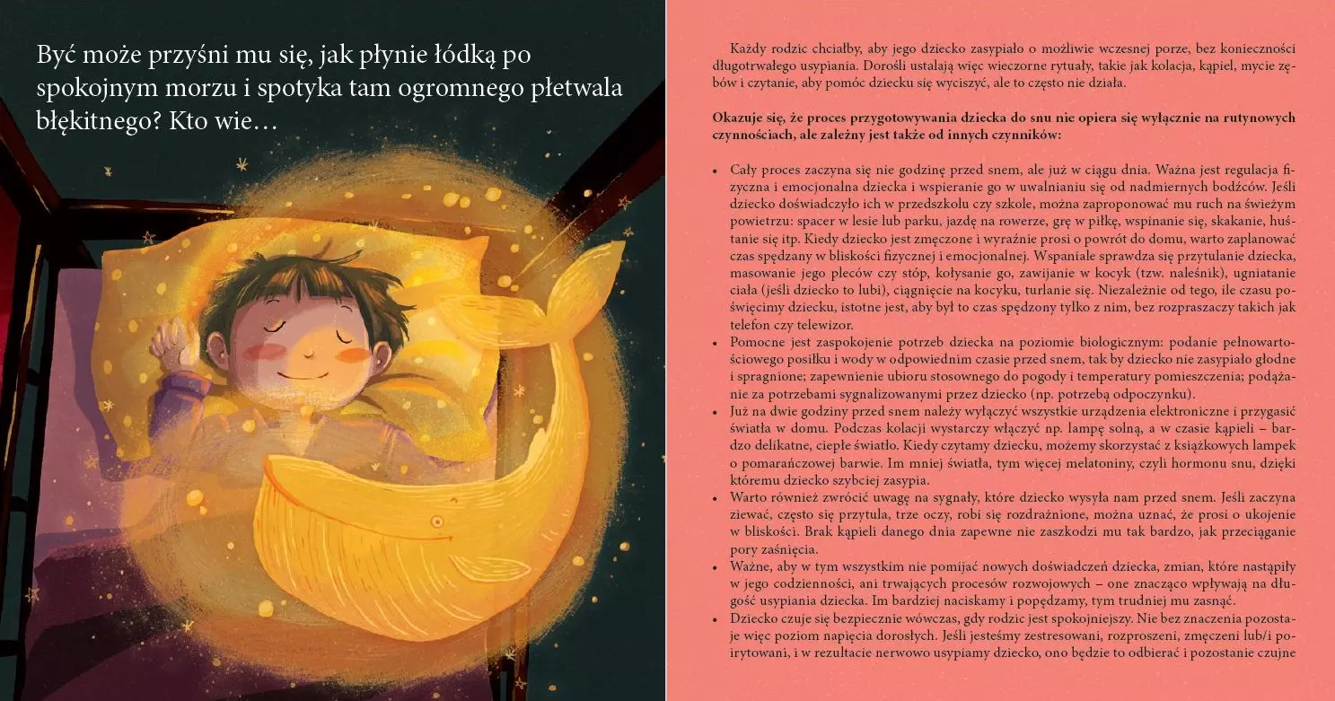 Tosia i Julek idą spać. (Nie) Tacy sami - Książki