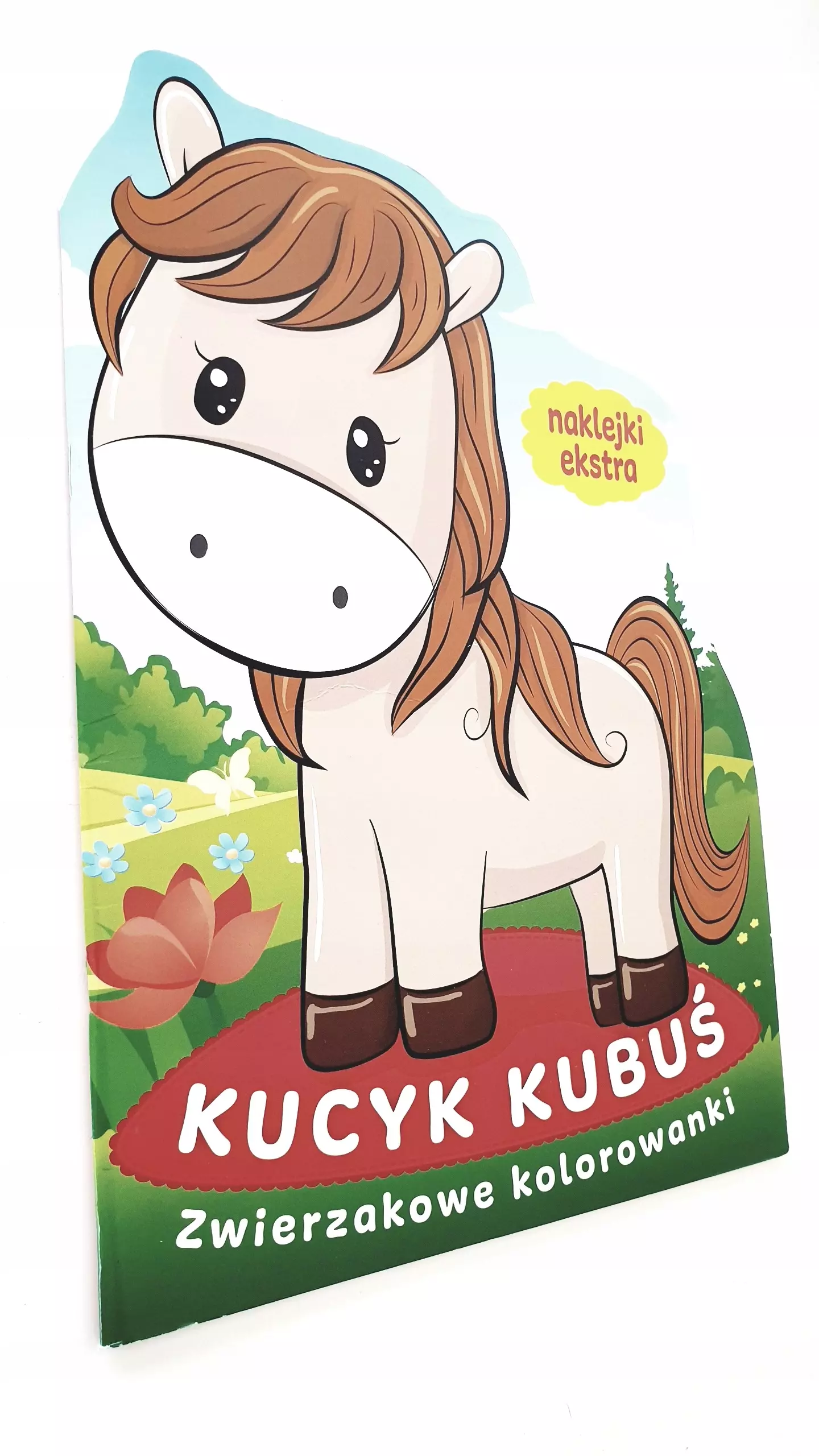 Zwierzakowe kolorowanki Kucyk Kubuś - Książki