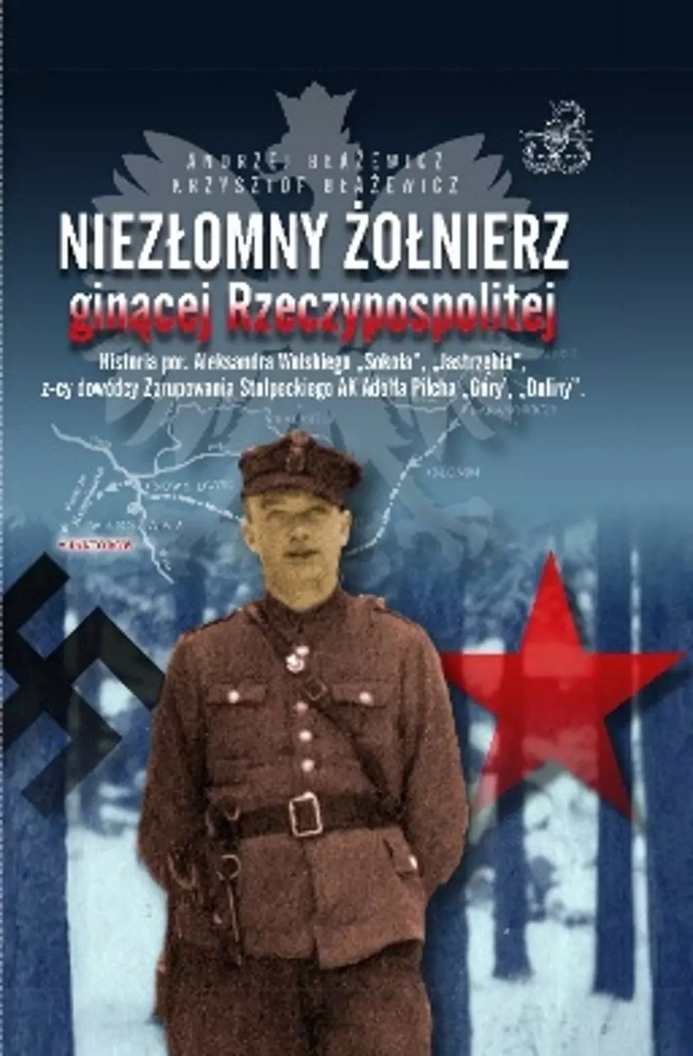 Niezłomny żołnierz ginącej Rzeczypospolitej Historia por. Aleksandra Wolskiego "Sokoła", "Jastrzębia", z-cy dowódcy Zgrupowania Stołpeckieg AK Adolfa Pilcha "Góry", "Doliny" - Książki