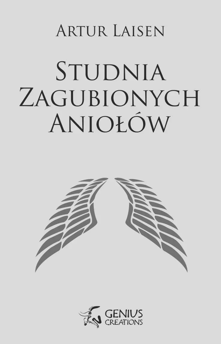 Studnia Zagubionych Aniołów - Książki