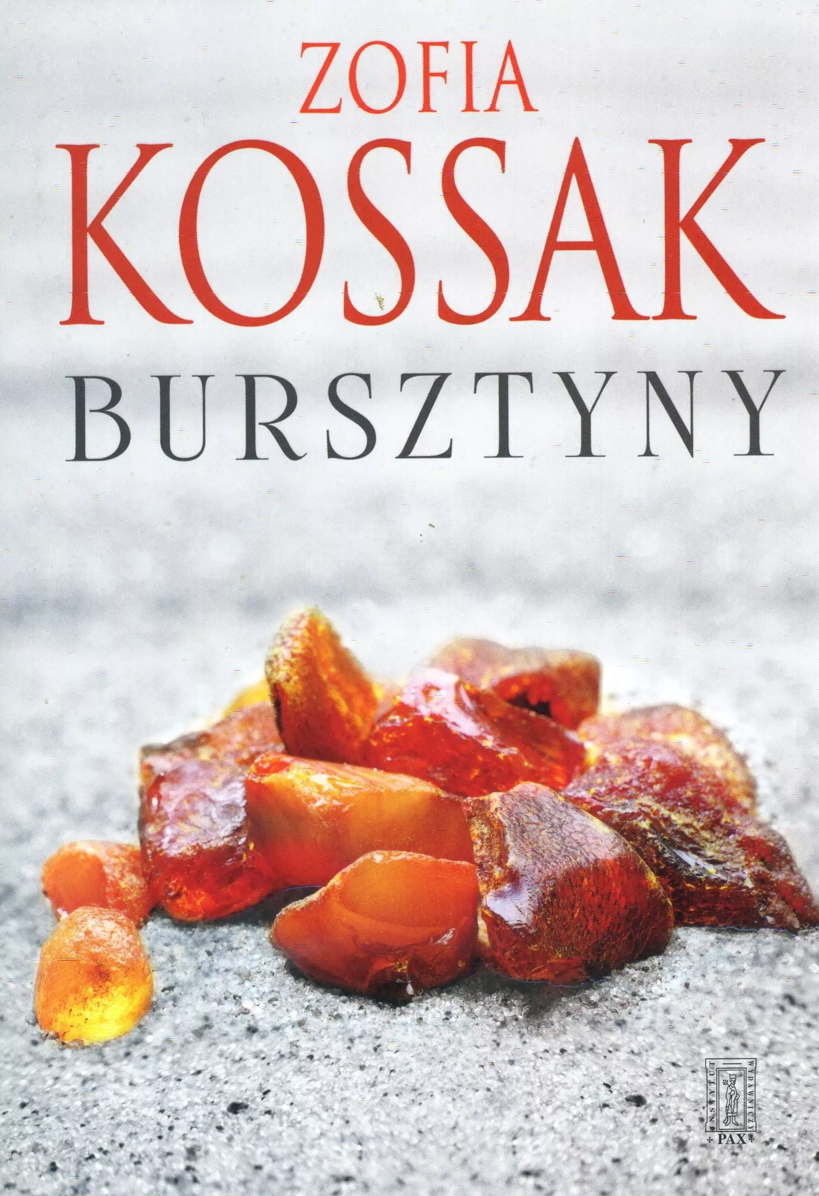 Bursztyny - Książki