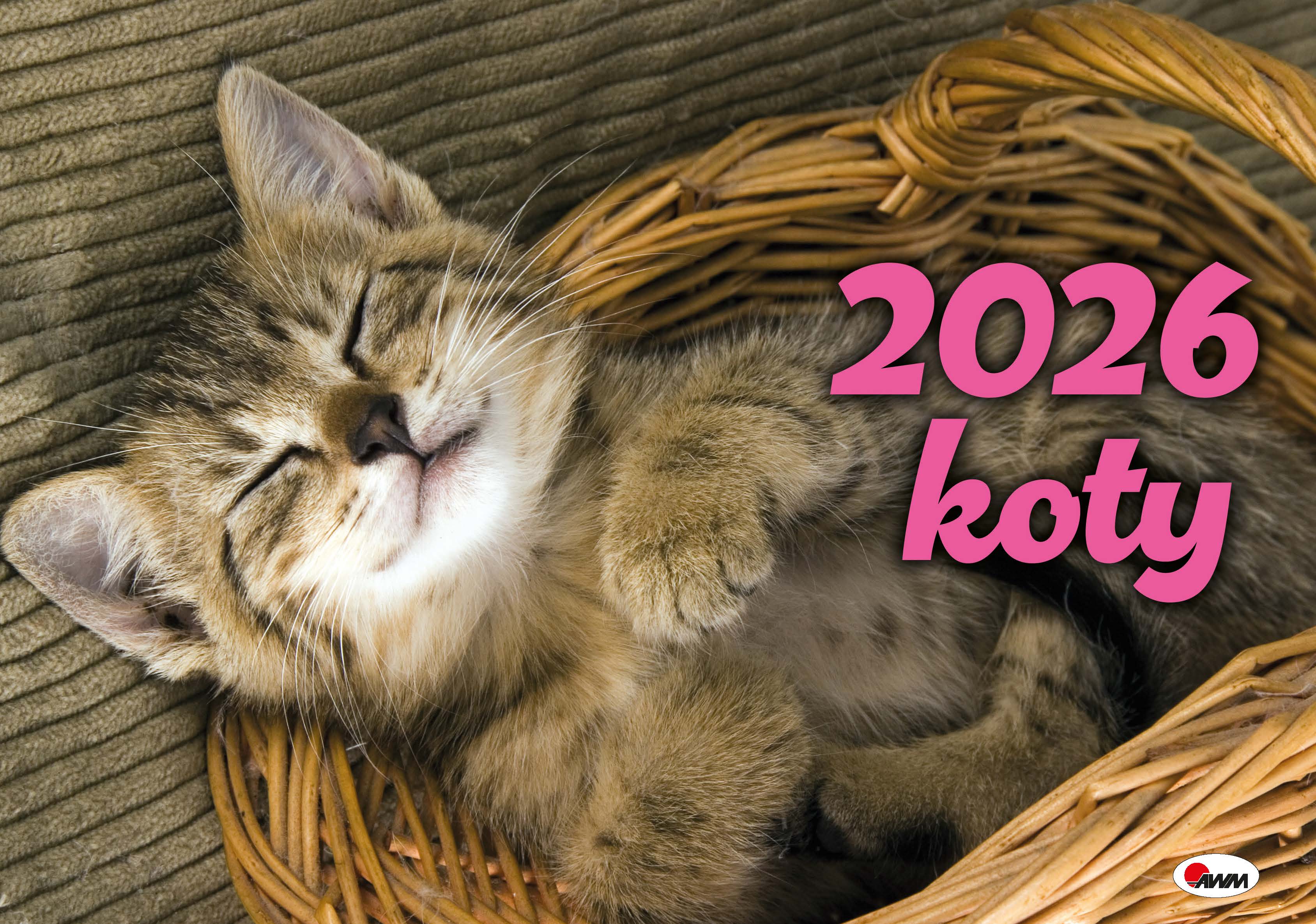 Kalendarz 2026 albumowy Koty KA2 - Książki