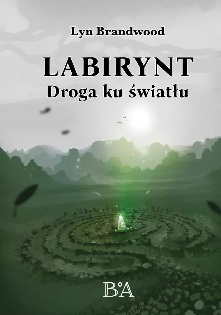 Labirynt: Droga ku światłu - Książki