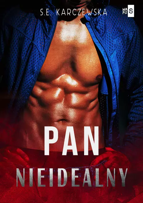 Pan nieidealny - Książki