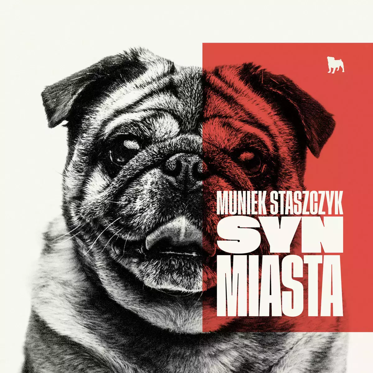 Syn miasta, CD - Muzyka