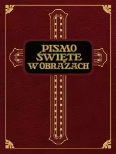 Pismo Święte w obrazach. Dzieje Starego i Nowego Testamentu - Książki