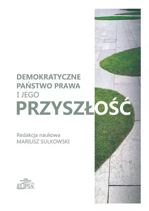 Demokratyczne państwo prawa i jego przyszłość - Książki