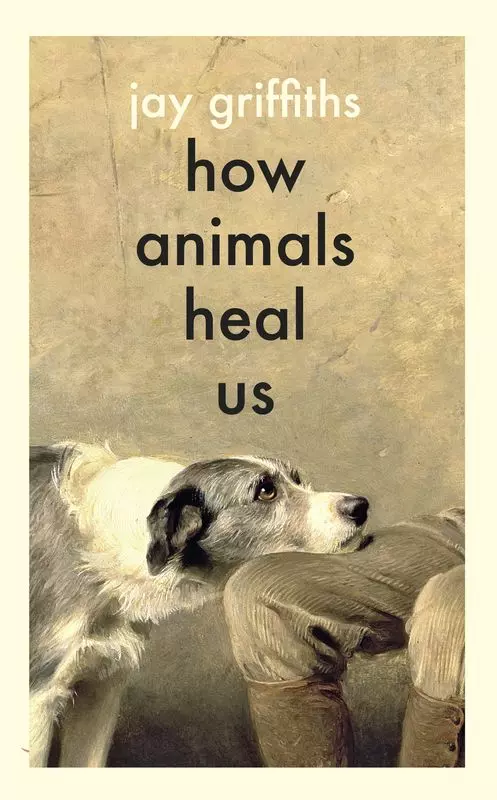How Animals Heal Us wer. angielska - Książki