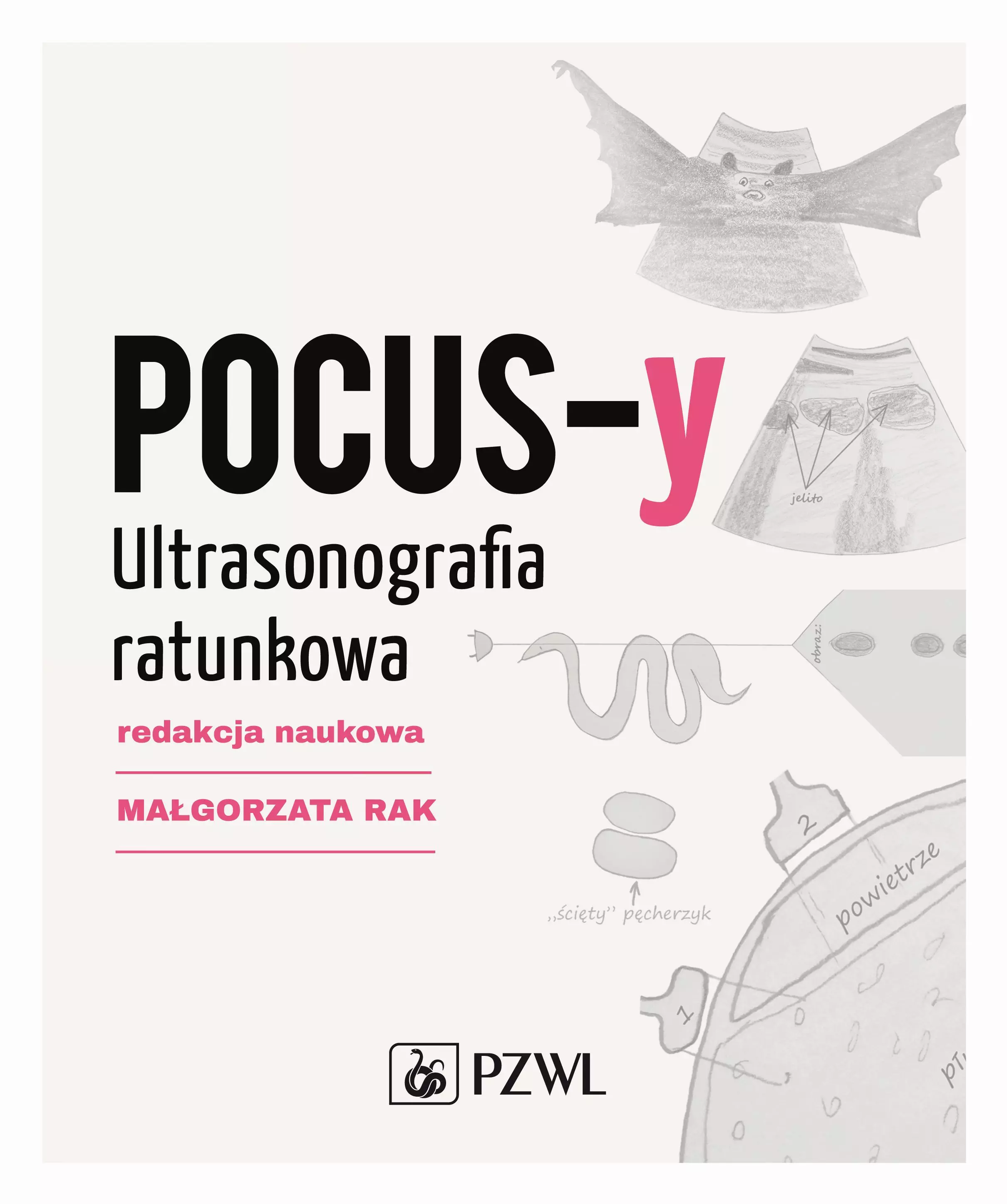 POCUS-y Ultrasonografia ratunkowa - Książki