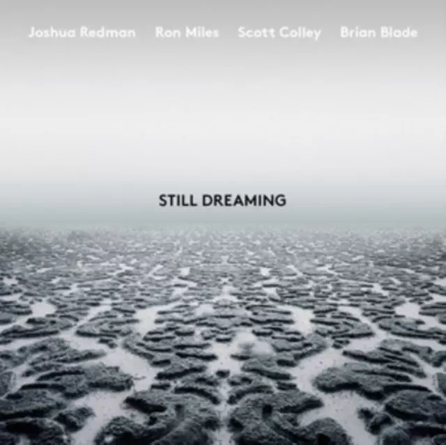 Still Dreaming. CD - Muzyka