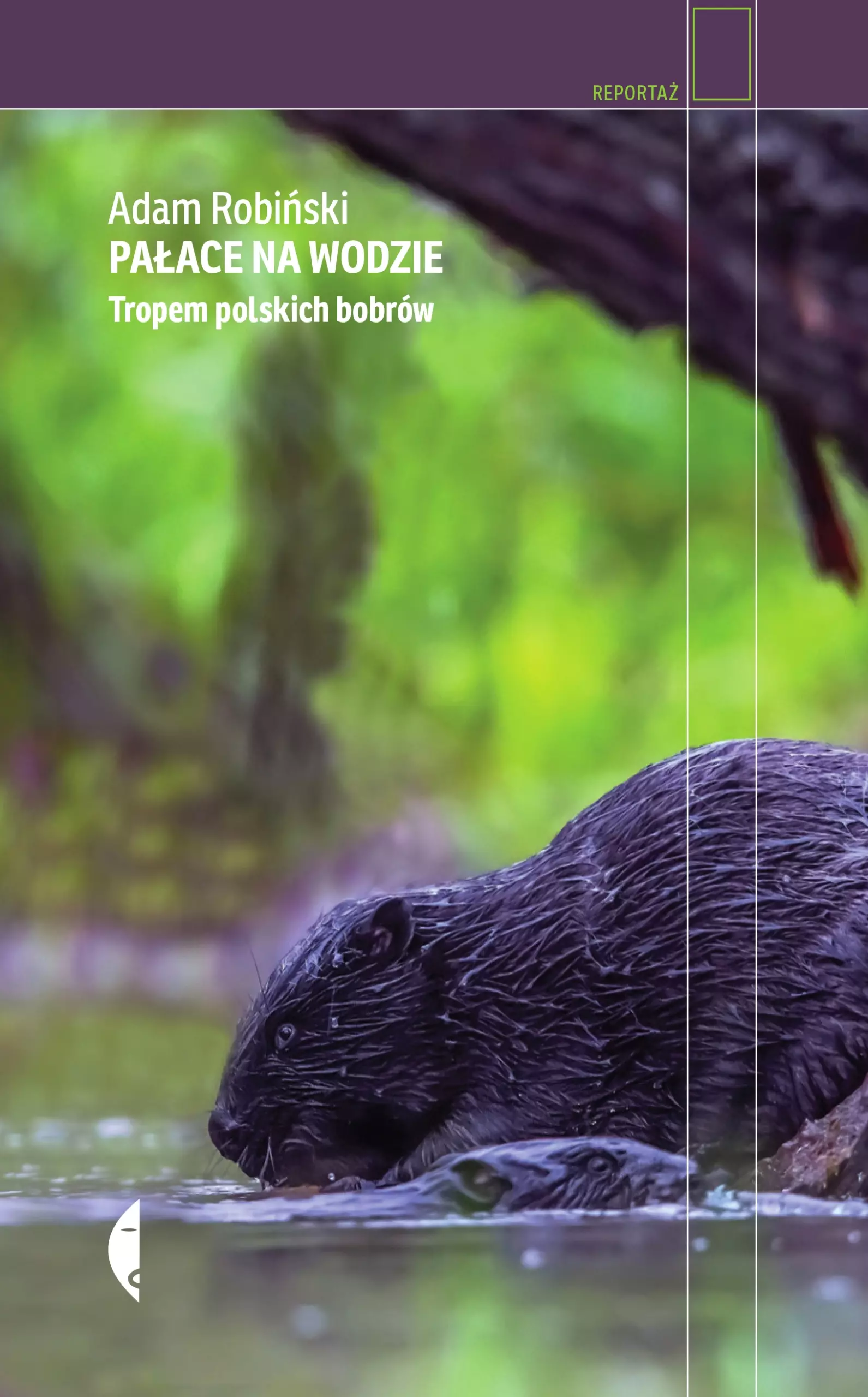 Pałace na wodzie. Tropem polskich bobrów - Książki