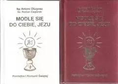 Modlę się do Ciebie, Jezu. Modlitewnik. I Komunia - Książki