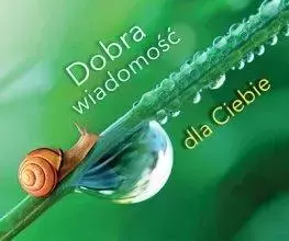 Perełka, "Dobra wiadomość dla Ciebie" - Papiernicze i szkolne