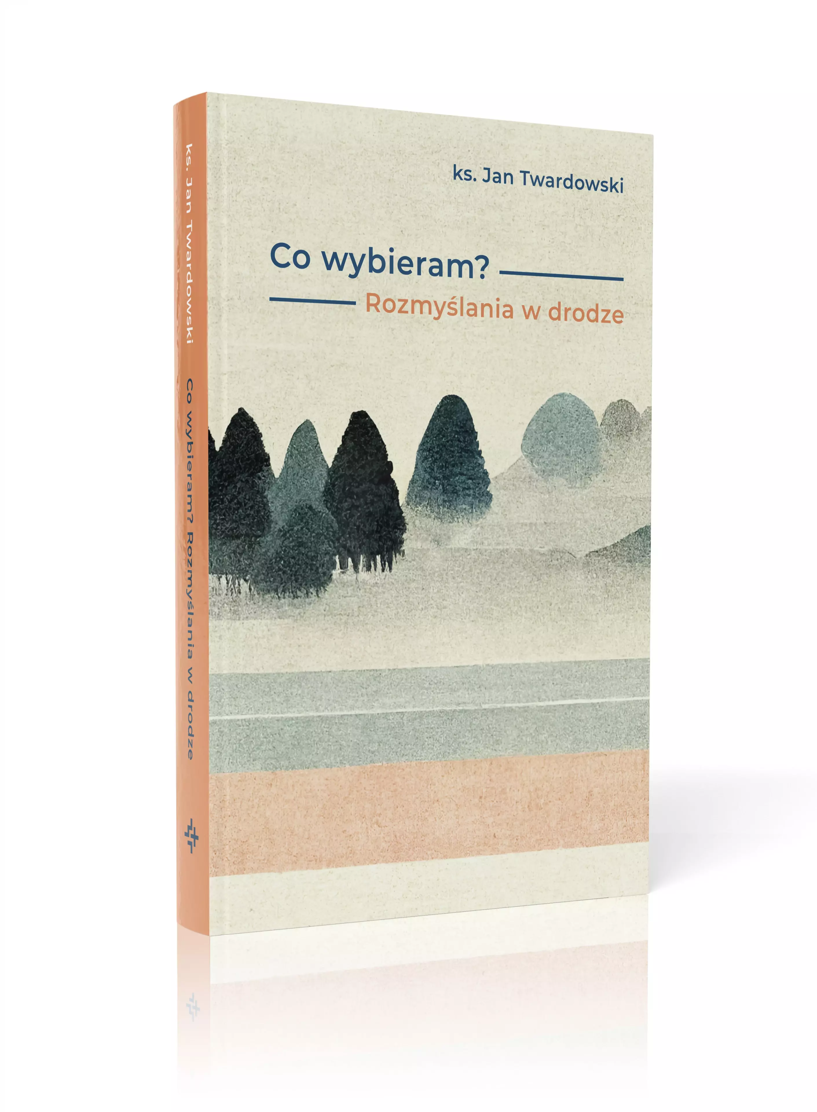 Co wybieram? Rozmyślania w drodze - Książki