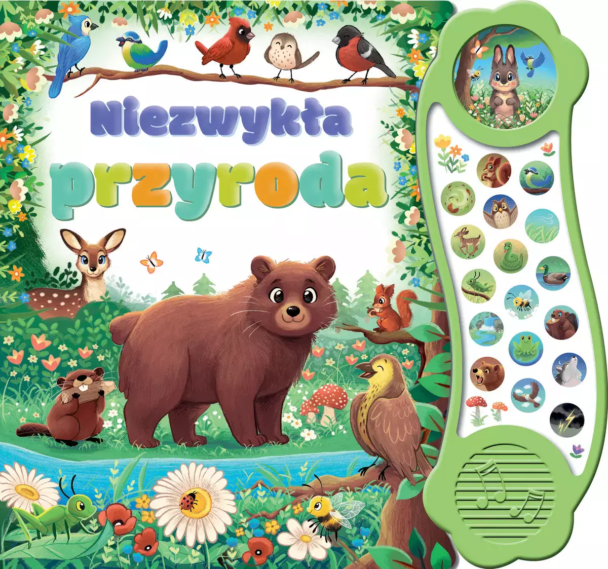 Niezwykła przyroda - Książki
