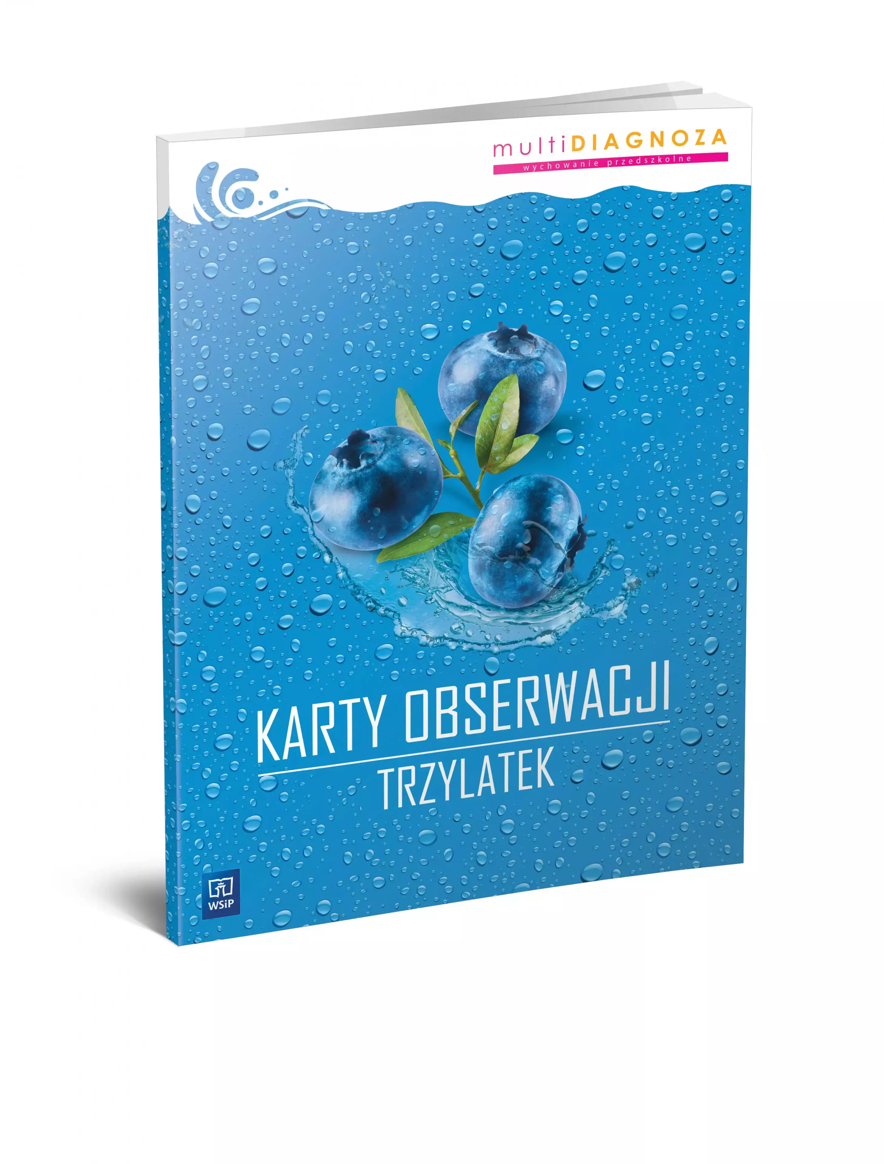 Nowa Multidiagnoza karty obserwacji przedszkole Trzylatek - Książki