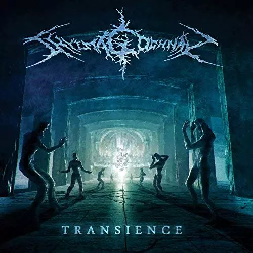 Transience. CD - Muzyka