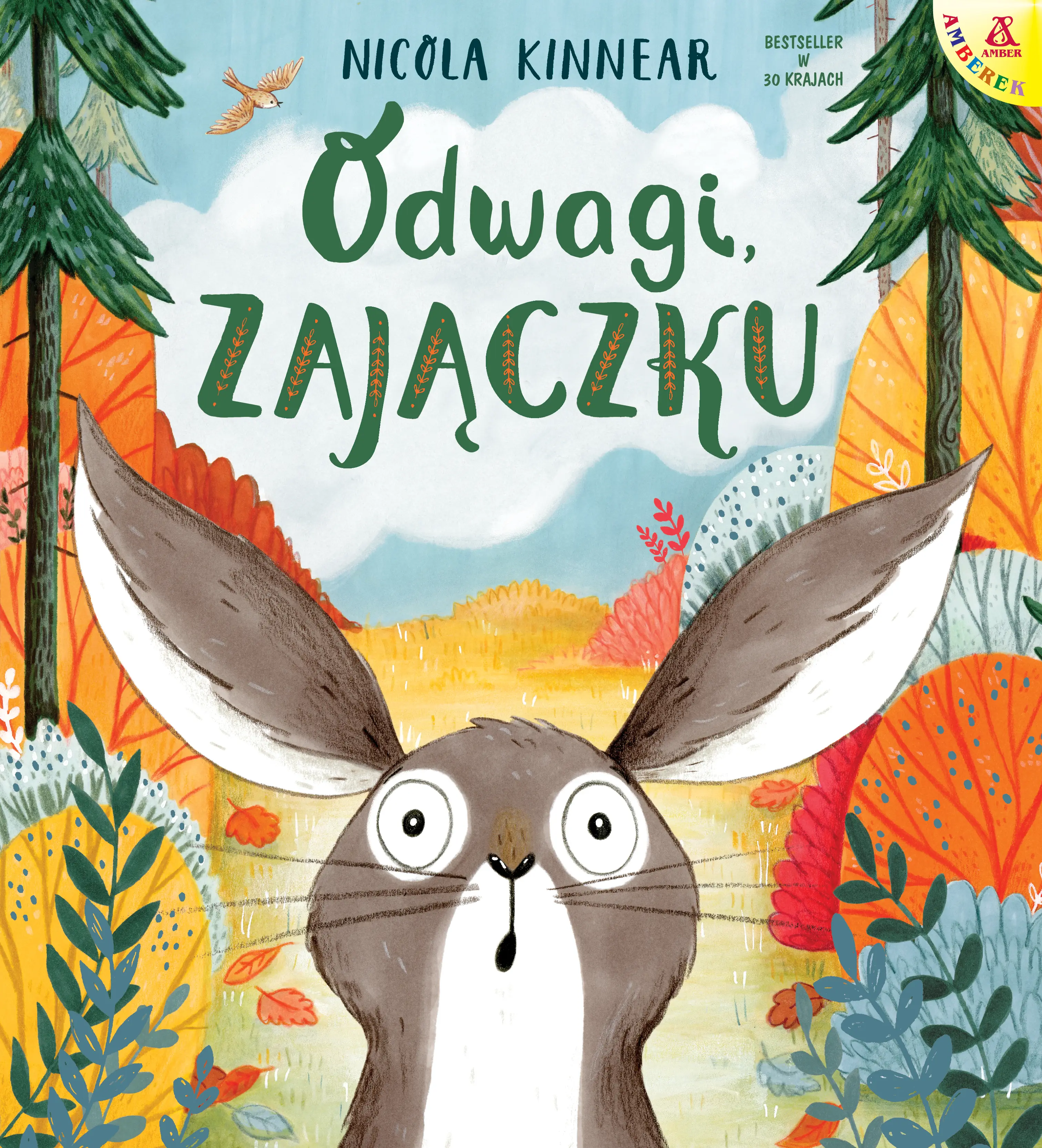 Amberek. Odwagi, zajączku - Książki