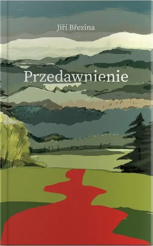 Przedawnienie - Książki
