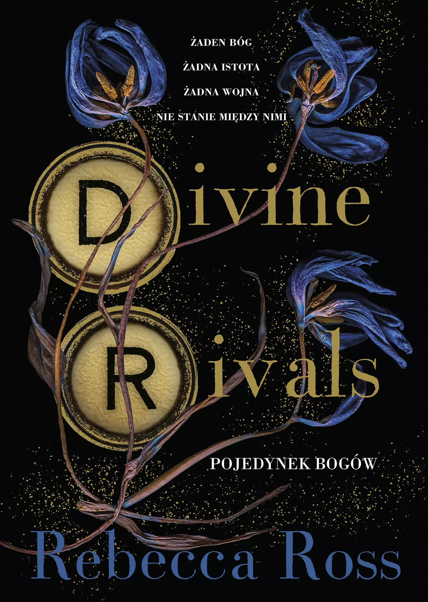 Divine Rivals. Pojedynek bogów - Książki