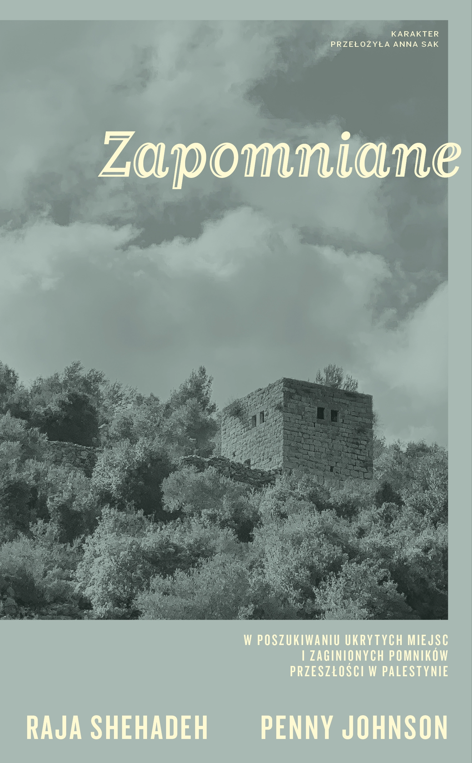 Zapomniane. W poszukiwaniu ukrytych miejsc i zaginionych pomników przeszłości w Palestynie - Książki