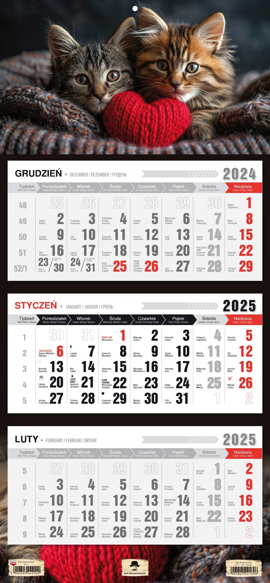 KALENDARZ TRÓJDZIELNY 2025 ROK PŁASKA GŁÓWKA MORSKIE OKO - Książki