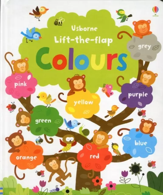 Felicity Brooks Lift the Flap Colours Book Usbo - Książki