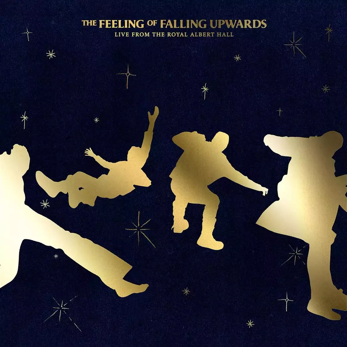 The Feeling Of Falling Upwards, Winyl - Muzyka