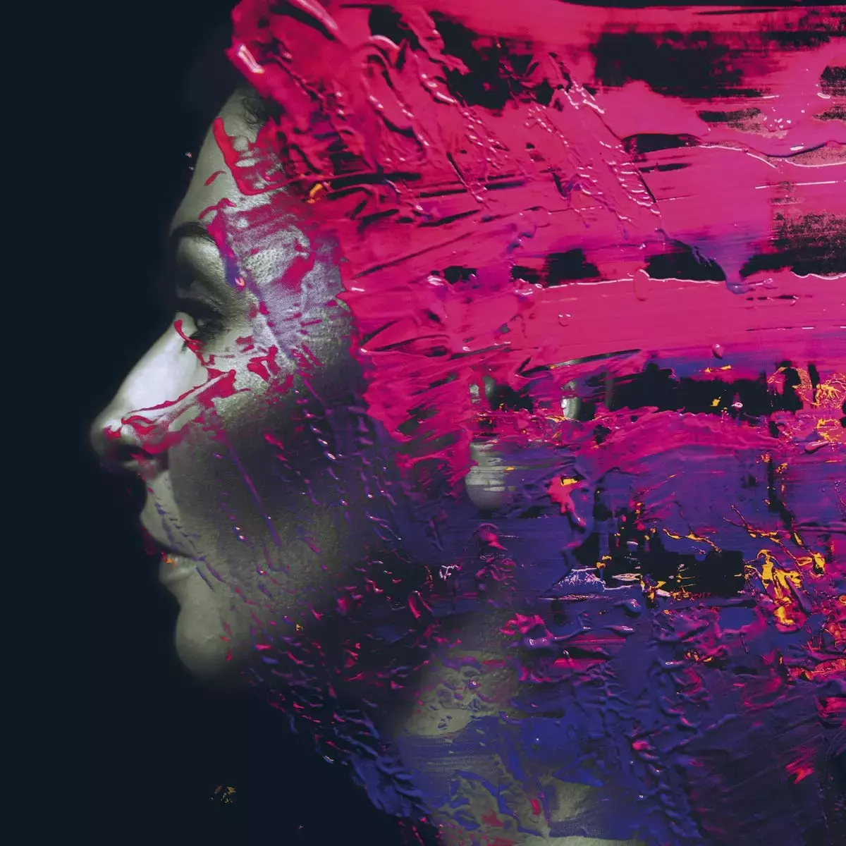 Hand. Cannot. Erase, CD + Blu-ray - Muzyka