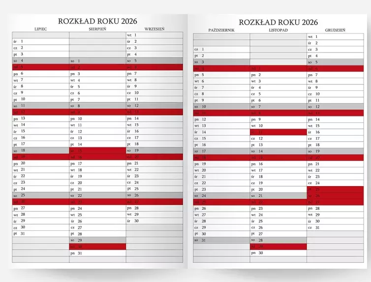 Kalendarz książkowy 2026 A6 tygodniowy Flamenco, niebieskie kwiaty - Książki