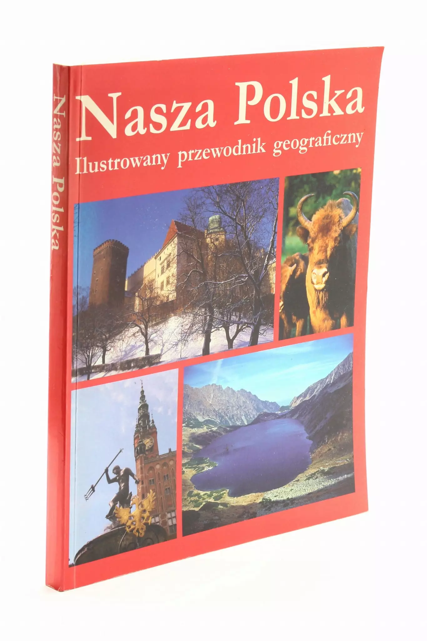 Nasza Polska. Ilustrowany przewodnik geograficzny, książka papierowa - Książki