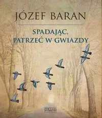 Spadając, patrzeć w gwiazdy - Książki