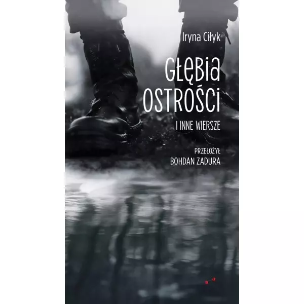 Głębia ostrości i inne wiersze - Książki