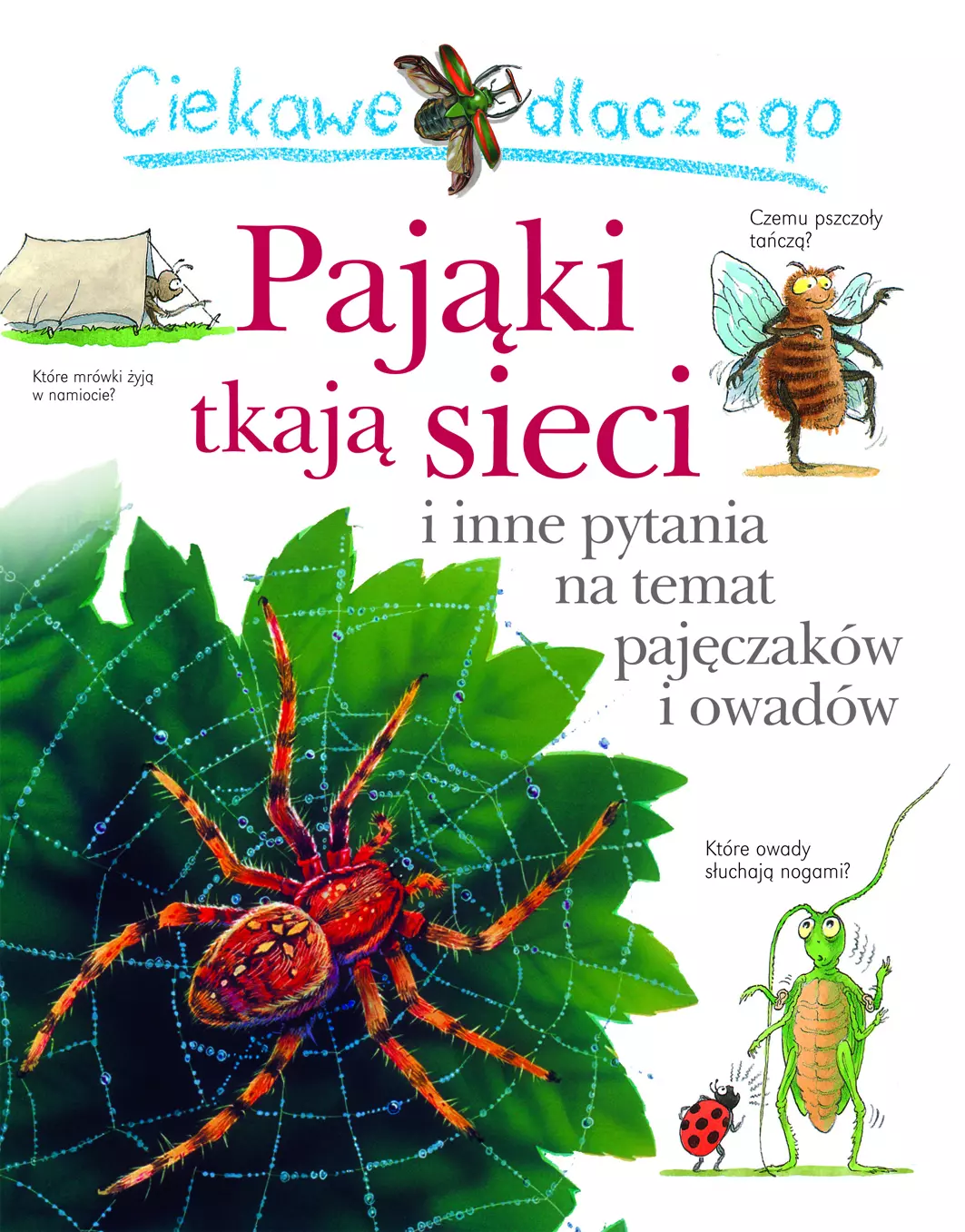 Ciekawe dlaczego pająki tkają sieci - Książki