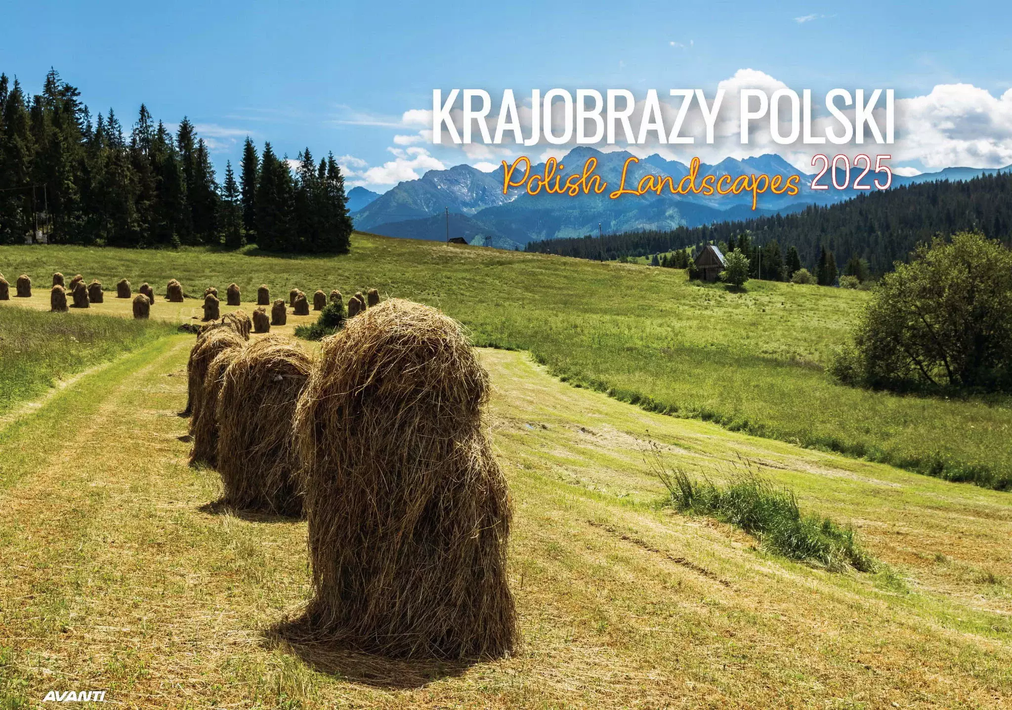 Kalendarz KRAJOBRAZY POLSKI 2025 ścienny albumowy - Książki