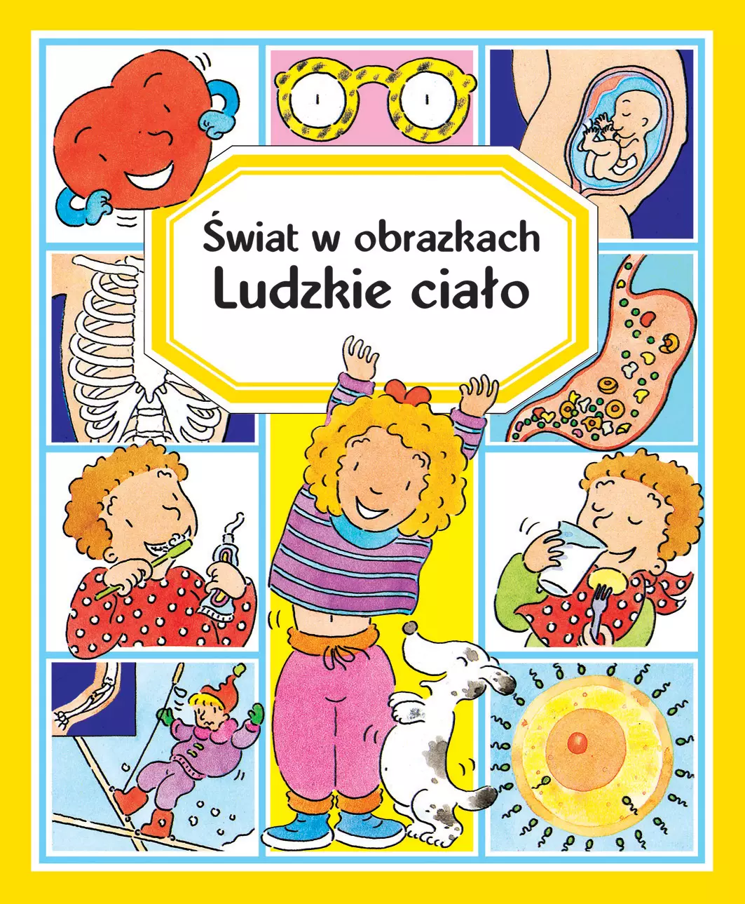 Świat w obrazkach. Ludzkie ciało - Książki