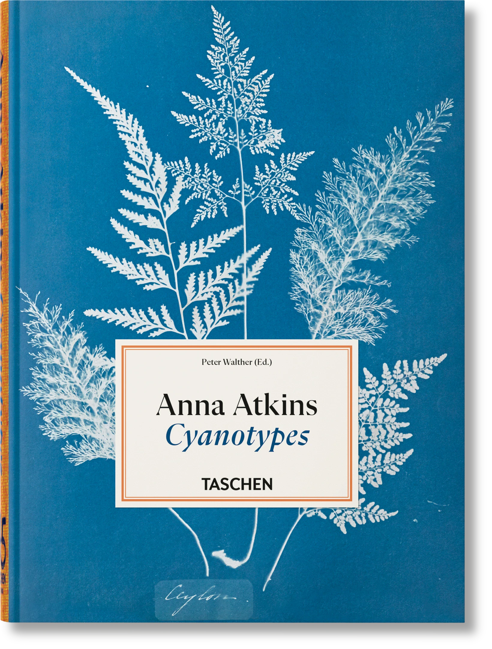 Anna Atkins. Cyanotypes - Książki