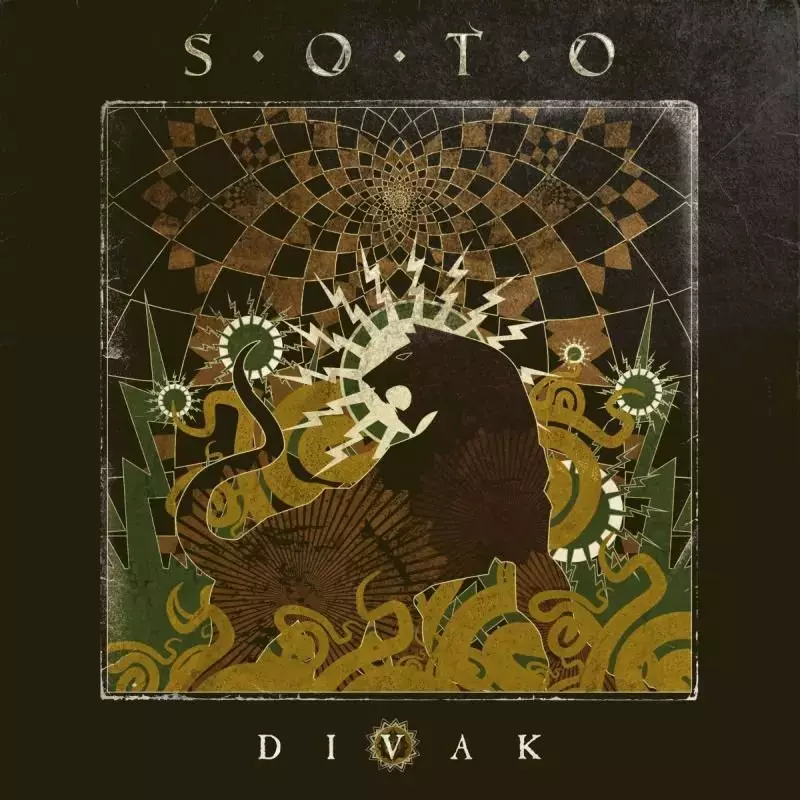 Divak. CD - Muzyka